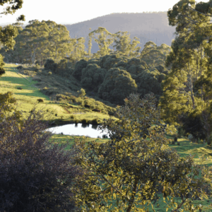 Weekend Retreat in Tasmania
